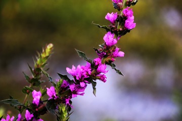 6D775404-E578-4D74-8A0C-9A3A40F65CB9/L0/001