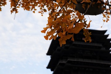 B8AE5279-DA6F-4FC8-9157-51791689C1A6/L0/001
