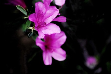 34D4AA22-63B3-46A6-8A38-4CD1C90EB602/L0/001