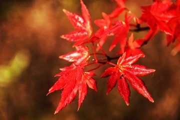 AB435504-A392-4D4C-BD22-0D5B0D3B387D/L0/001