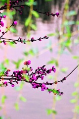 4F3C54E6-6FB5-4DE9-A1E0-E5CA09423F62/L0/001