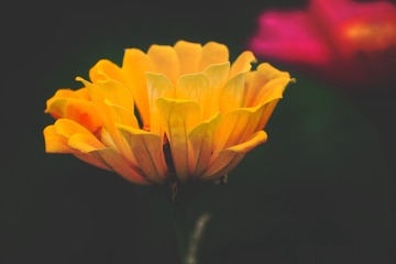 C2AF9073-6D4F-462E-8C28-3C2611710714/L0/001