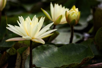 E5980696-2E9B-4CC2-B65C-5D97671EC065/L0/001