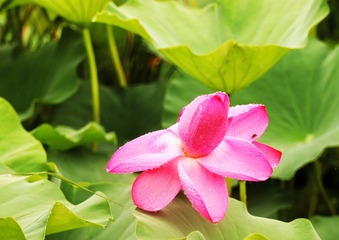 634478DB-8239-46F5-A118-AFBF7DC2DA91/L0/001