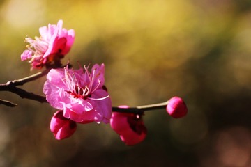 02427BB3-84E8-40AD-86C3-92E8A1D09E02/L0/001