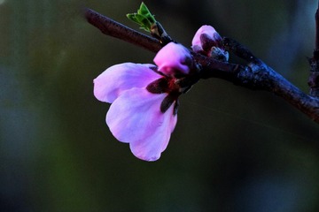 1BB75812-DA7B-45E7-9351-F0085E3AE7D2/L0/001