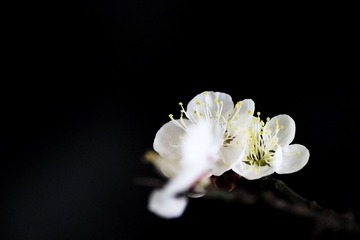 5F216F9B-5B41-465D-90B0-B252BF291041/L0/001
