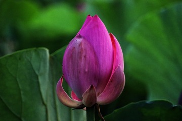 62ED7290-F2E1-4009-BDD1-5FD7196C1EEC/L0/001