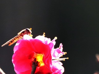 E40C8287-0574-4405-95B9-B7657AE443C1/L0/001