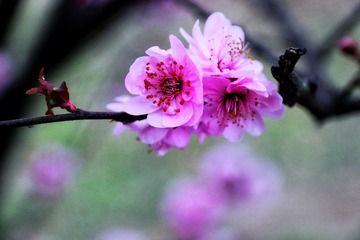 D8AC3A69-30A1-4140-A25D-F19B39756ED1/L0/001