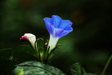 A3CBF1A6-EFF0-47DC-95D2-06681A7D263B/L0/001