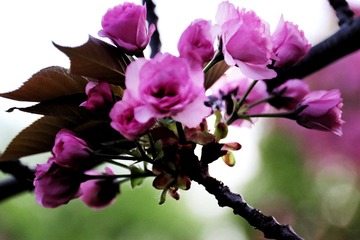B0C1F544-C342-49F8-8207-4659C3FBFC70/L0/001