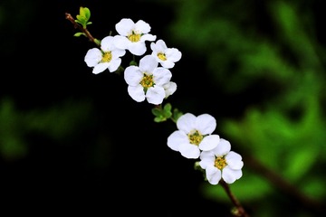 03C2586C-07E3-40DC-B1D4-B297A4ED4C68/L0/001