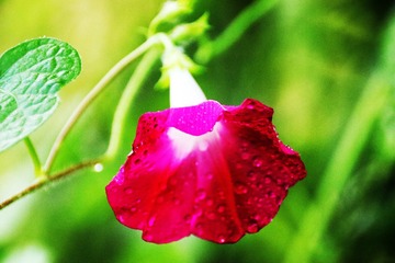 5B781257-4732-4AB2-B30C-AE2284430FC0/L0/001