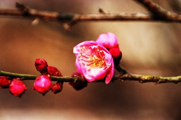 6FEB8B8F-04A3-46BF-833F-5974FF9571CD/L0/001