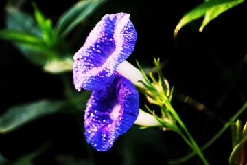 857C4CA7-1132-4D85-B01C-E88A749F7FB9/L0/001