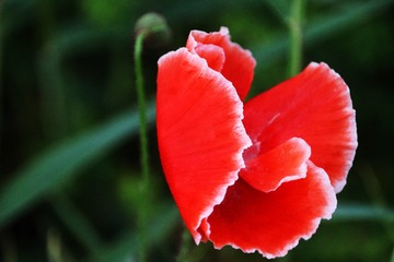 3AA7A56C-55CB-4EE9-9F98-D2DDB0D4F1F0/L0/001