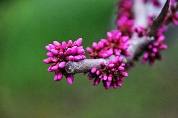 A789CF30-EAB6-41E5-869A-359B4F1AF07D/L0/001