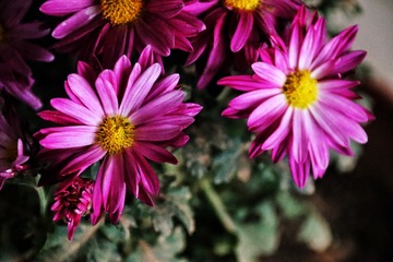 16E6B3B1-1886-4635-8156-CC7A2C5D80F0/L0/001