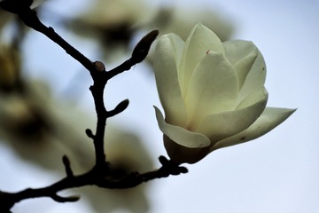790D88E8-7F47-44E8-8024-C7F9B75440F3/L0/001