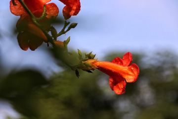 908891B6-8CB7-45DA-91EC-1210C26786FA/L0/001