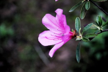 6D77D6EA-E587-4066-BDDA-2EBBC7DA2213/L0/001