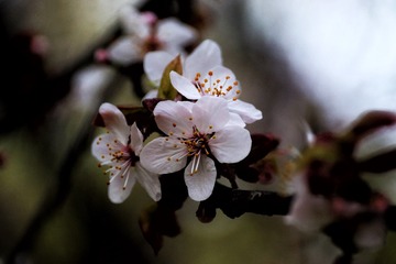 558D98F9-10CF-42D3-94E8-567FF3051B12/L0/001