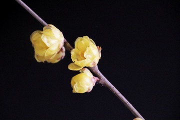 5CA176AE-9028-44E8-9BE8-6F66DD86A813/L0/001
