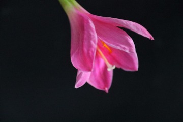 5D2B0642-A0FB-4D06-B62E-0A8EAE3561FE/L0/001