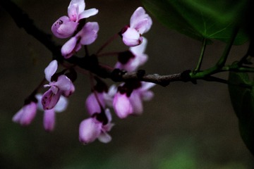 371BEE6B-41D7-49AA-A46C-019C4070F9E6/L0/001