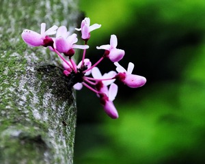 4D1C6B73-1C7B-49FD-9752-30119B77E044/L0/001