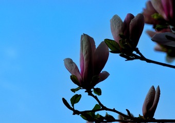 701E10C9-D9E6-4657-9F5C-86DD12313779/L0/001