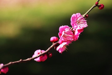 2C29802E-4CF8-4534-BEEE-37984F90AFD1/L0/001