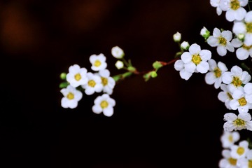 45E2E7BE-7A48-4754-B60F-BA0B6EE50538/L0/001