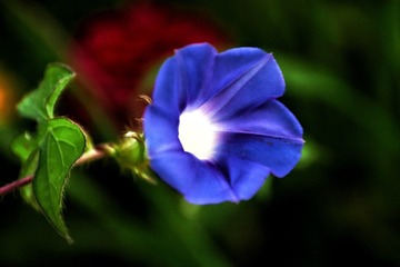 1D24D44B-D3FC-4CC1-B146-C2861C87A430/L0/001