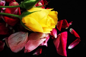 7BF882C4-8EB1-47BF-AD3E-7BF5B1B8E010/L0/001