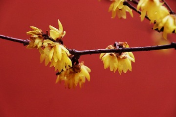 7C380128-4C1B-4680-A37A-36D3D75D9B24/L0/001