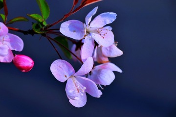 00F7F1D6-629A-421F-A309-7ECDB14C68AA/L0/001