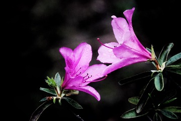 F7D689F8-09DE-40EA-830D-92CE8FD0E22B/L0/001
