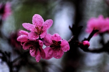 2CCD46FD-82D5-4F92-A7D9-055AFB4D01E4/L0/001