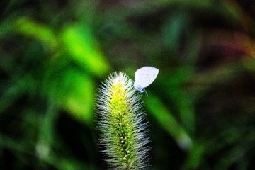 4A32ED15-0367-4A6C-986D-2B66AC087992/L0/001