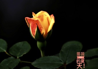 9CB5CD50-33F7-4C86-AF74-B9BFFC82D8BA/L0/001