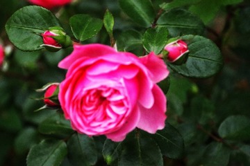 6B60FA56-C1DF-4B77-A0DE-D3B4E18F2D03/L0/001