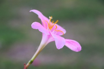 953B33DF-58ED-43B8-B059-A7AB29371D6F/L0/001