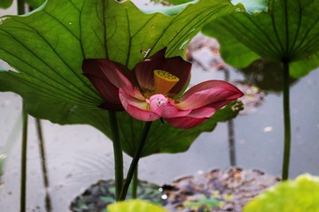 D8205F62-2AB0-4CB1-A731-D1C74BDE970A/L0/001