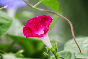 B89D5754-00B9-4F28-8613-58DFFDA83A37/L0/001