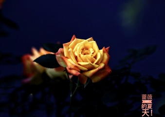 BE2C4A3D-5D26-4A33-AF8D-4C9ABF215493/L0/001