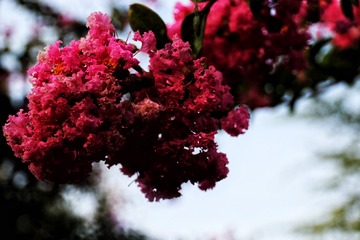EDFF128A-E3D7-45FD-B16E-EB9661F1465B/L0/001