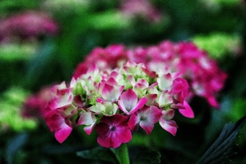 03E4EA90-0FB1-44CA-8A7C-51210EA6D3CC/L0/001