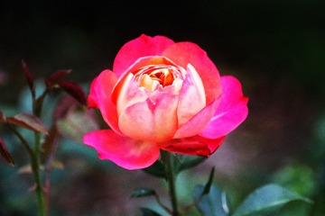 CB0A87C3-4CE9-4D2D-B2DC-C01B3E1182A8/L0/001